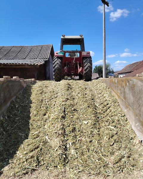 Case IH 1246 hitno cena hit