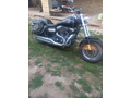 Harley Davidson fad bob