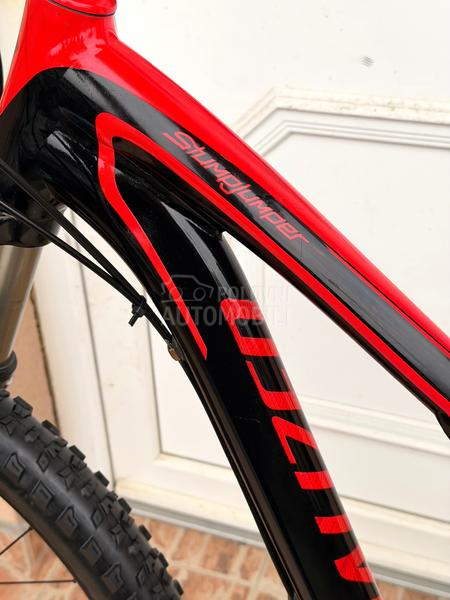 Specialized Stumpjumper 29