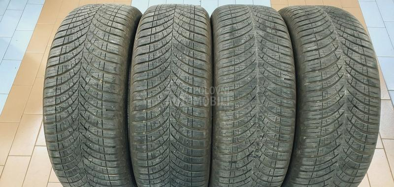 Goodyear 205/55 R17 Sve sezone