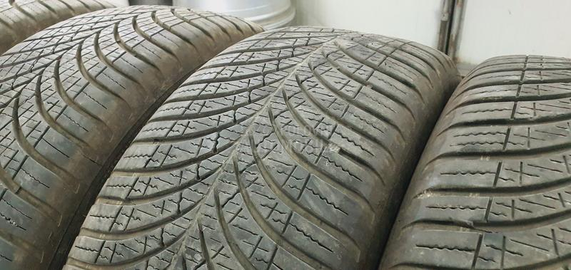 Goodyear 205/55 R17 Sve sezone