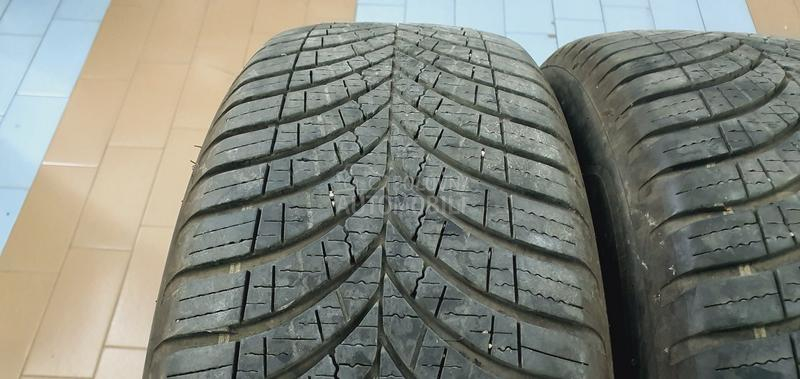 Goodyear 205/55 R17 Sve sezone