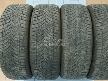 Goodyear 205/55 R17 Sve sezone