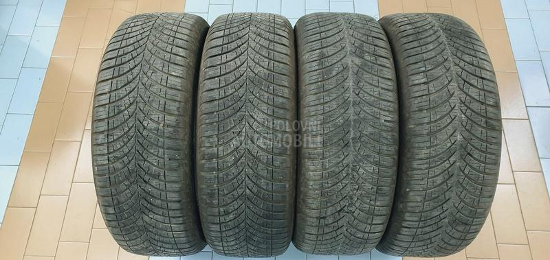 Goodyear 205/55 R17 Sve sezone