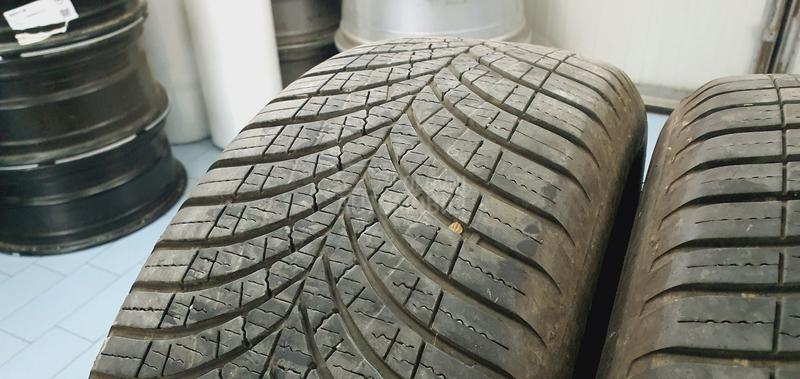 Goodyear 205/55 R17 Sve sezone
