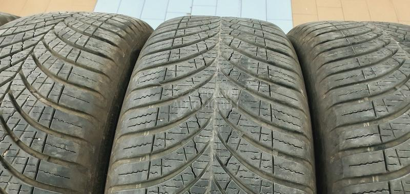 Goodyear 205/55 R17 Sve sezone