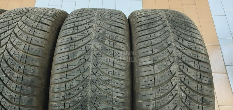 Goodyear 205/55 R17 Sve sezone