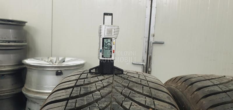 Goodyear 205/55 R17 Sve sezone