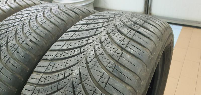 Goodyear 205/55 R17 Sve sezone