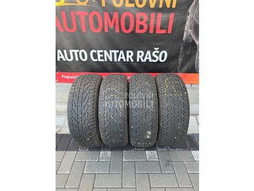 Riken 205/55 R16 Zimska