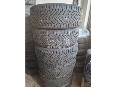 Nexen 235/60 R16 Sve sezone