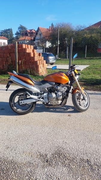 Honda HORNET