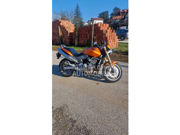 Honda HORNET