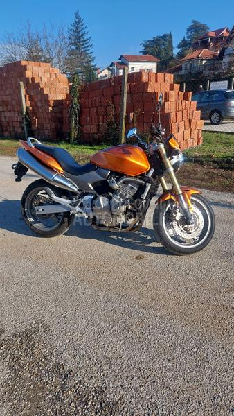 Honda HORNET
