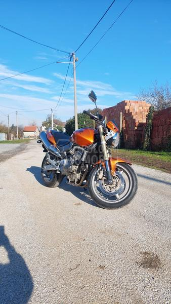 Honda HORNET
