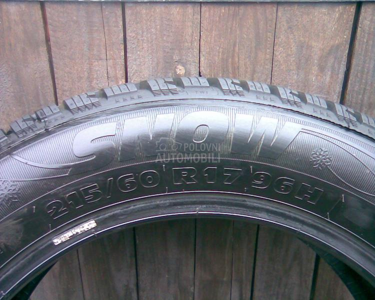 Riken 215/60 R17 Zimska