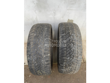 Goodyear 235/50 R19 Zimska