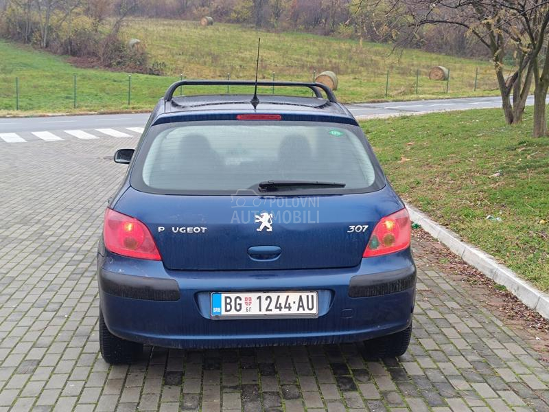 Peugeot 307 1.6 REG DUGO