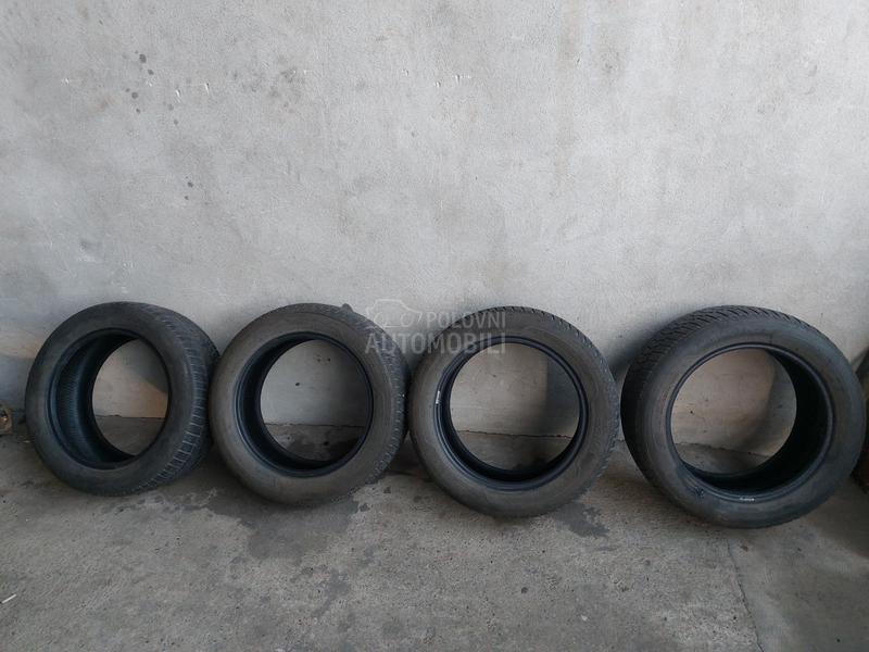 Sava 225/55 R17 Zimska