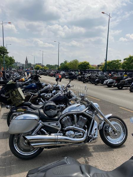 Harley Davidson VROD VRSCA