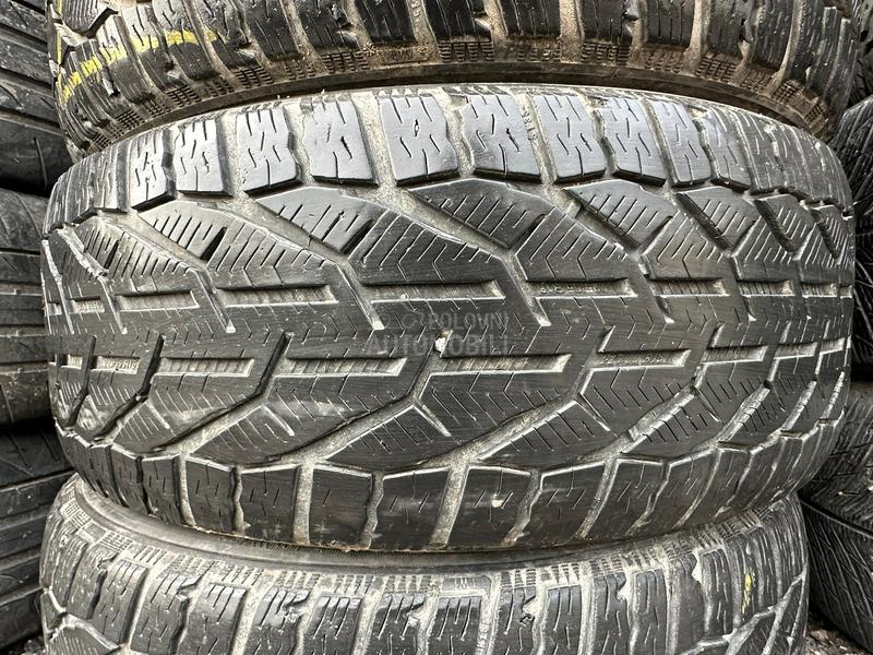 Riken 225/55 R16 Zimska