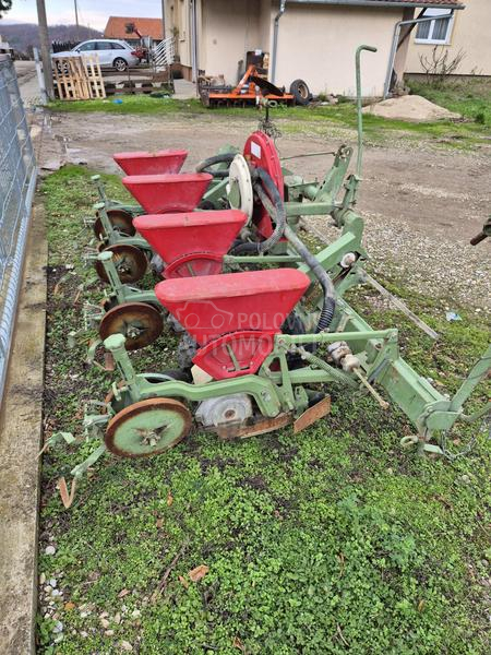 Nodet Pneumassem planter