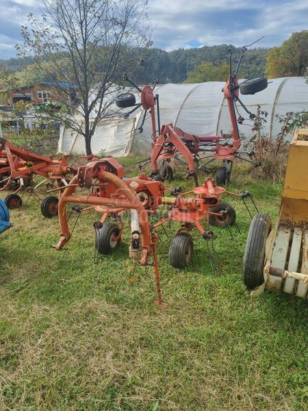 Nodet Pneumassem planter