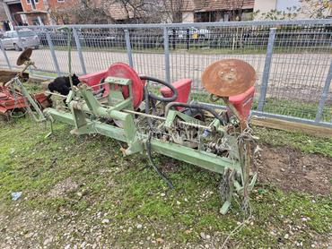 Nodet Pneumassem planter