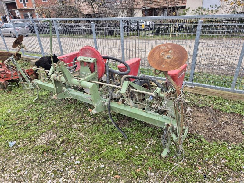 Nodet Pneumassem planter