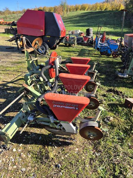 Nodet Pneumassem planter