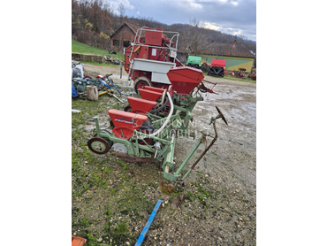 Nodet Pneumassem planter