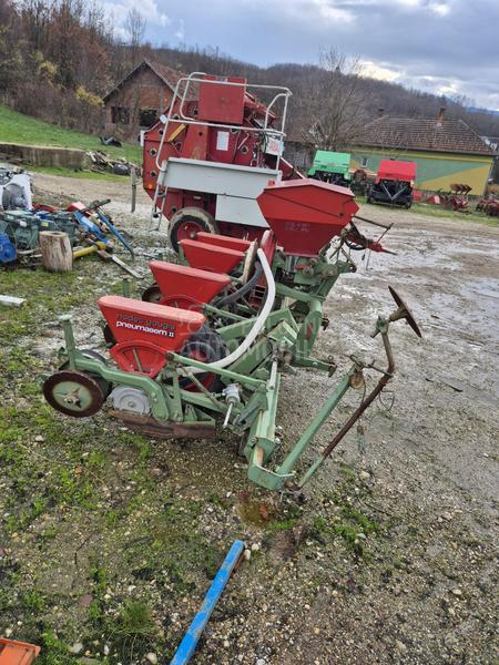 Nodet Pneumassem planter