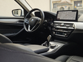 BMW 520 XDrive/Perla/Luxury