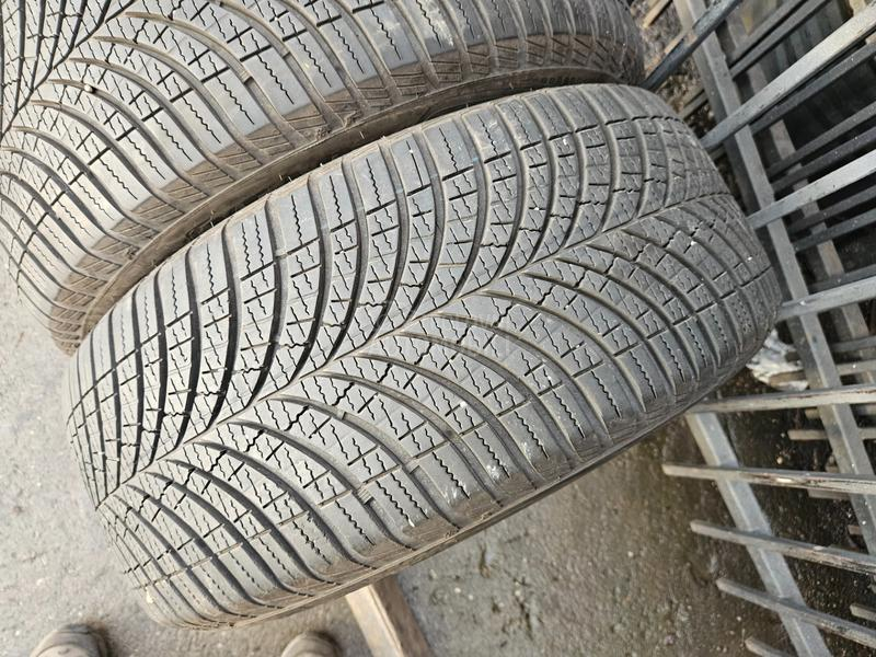Goodyear 235/55 R17 Sve sezone