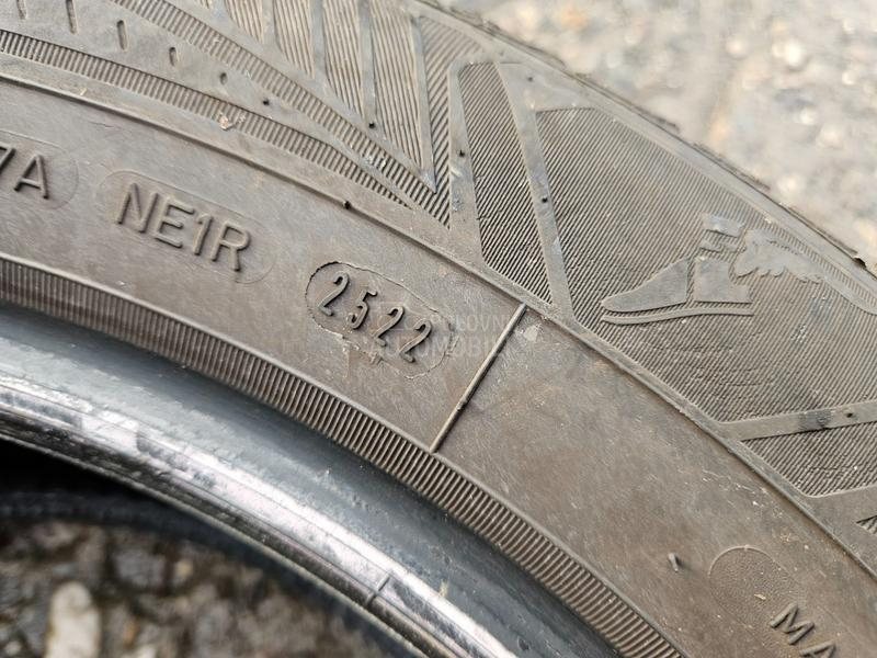 Goodyear 235/55 R17 Sve sezone