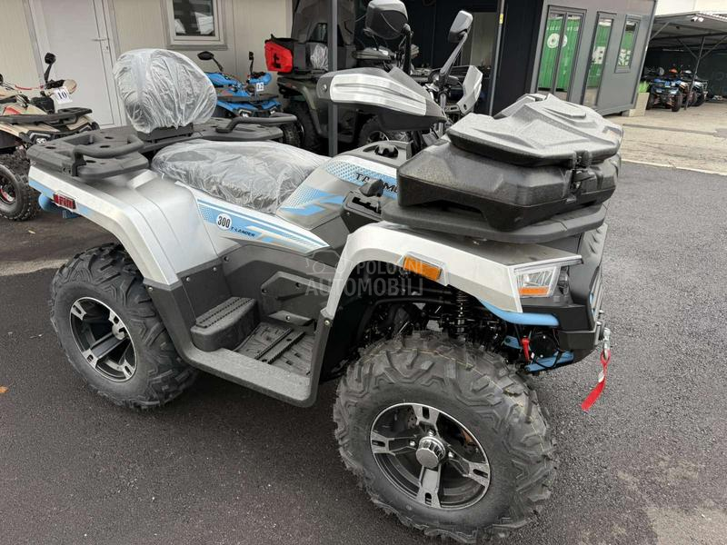 Tao Motor T Lander 300