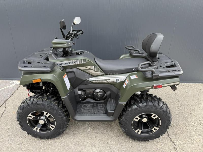 Tao Motor T Lander 300