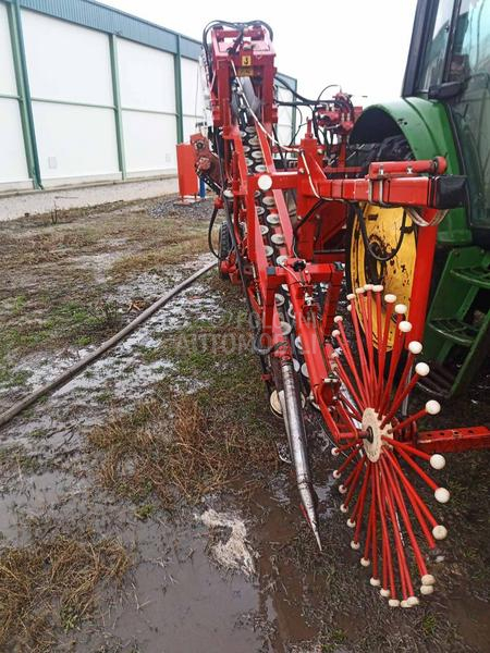 WEREMCZUK Weremczuk Alina Supernova