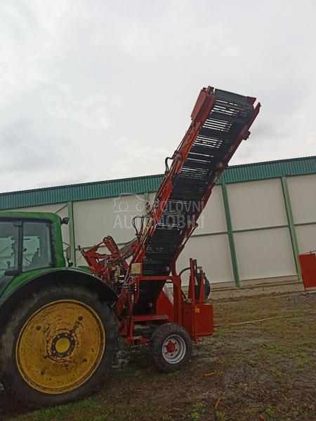 WEREMCZUK Weremczuk Alina Supernova