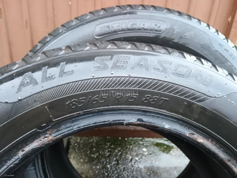 Tigar 185/65 R15 Zimska