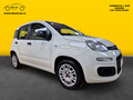 Fiat Panda 4 Sedista N1