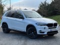 BMW X5 2.0 XDrive Pano.