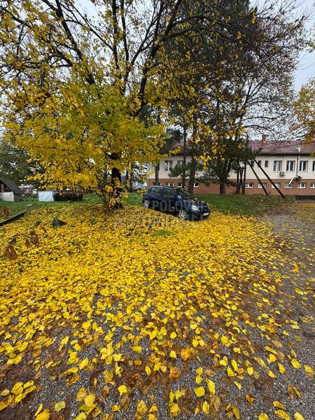 Renault Clio INITIALE PARIS