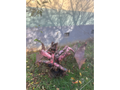 Huard Poljoprivredne masine sve