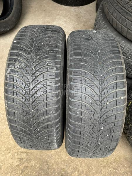 Goodyear 195/55 R16 Zimska