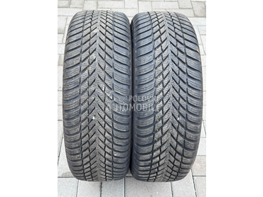 Nokian 205/55 R16 Zimska