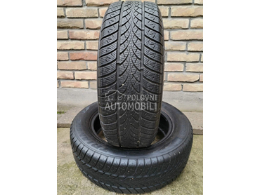 Triangle 205/60 R16 Zimska