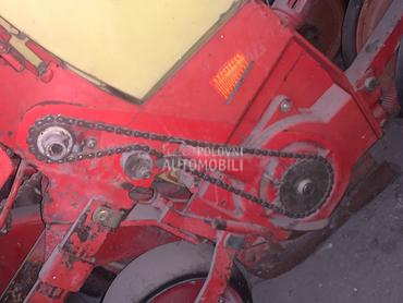 Rau sestoredna na 50cm