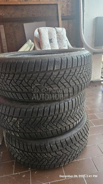 Dunlop 225/55 R17 Zimska