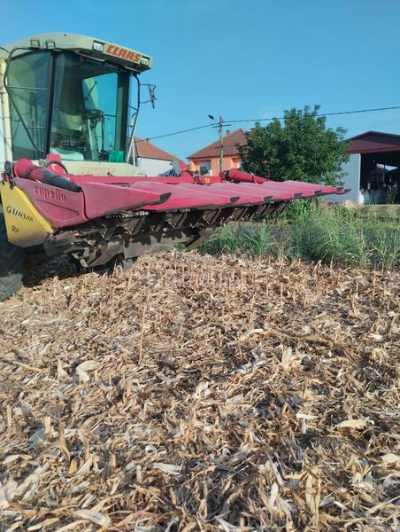 Capello capello Qyasar